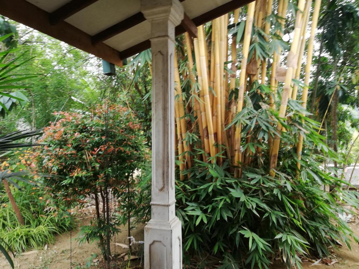Leaf Guest House Gampola Exterior foto