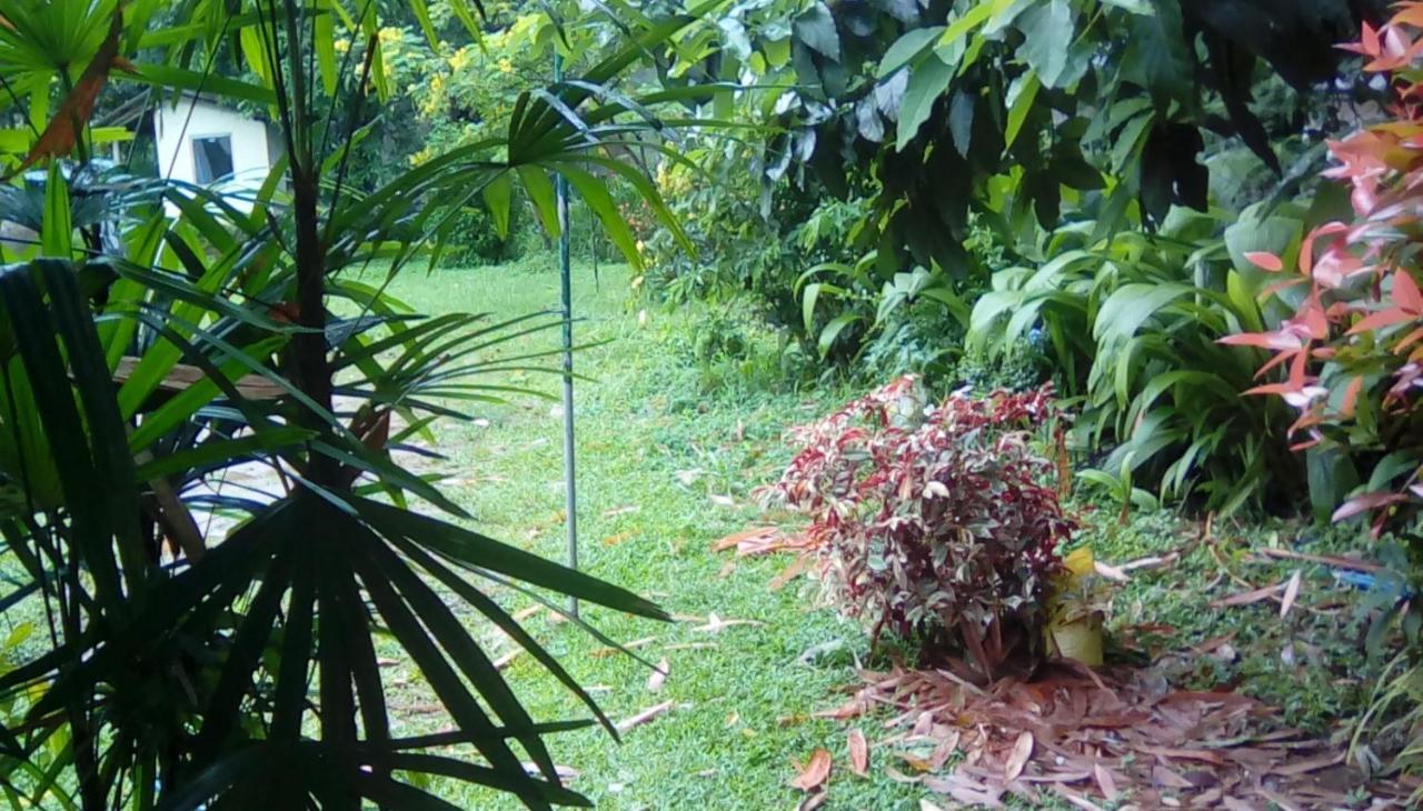 Leaf Guest House Gampola Exterior foto